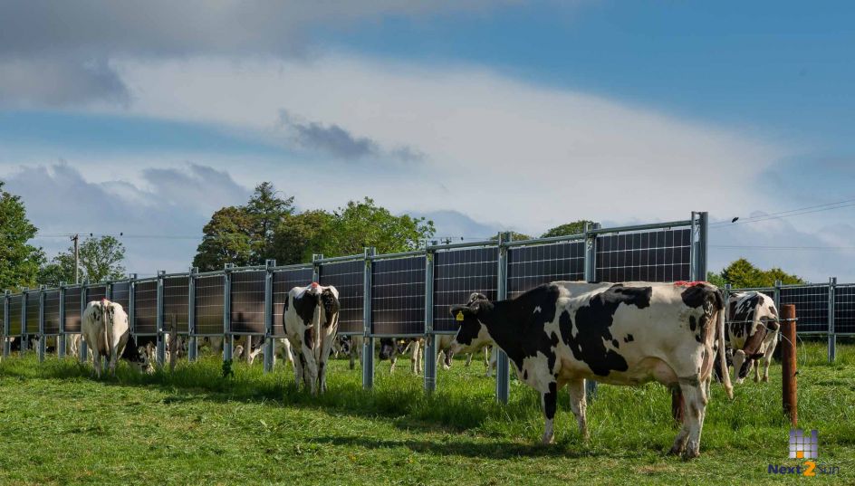 Photovoltaik - Grünlandnutzung