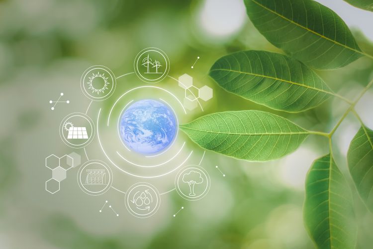 Photovoltaik Umwelt